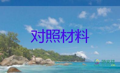 以案為鑒對(duì)照剖析檢查材料5篇