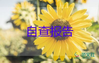 2023年公益性崗位自查報(bào)告5篇