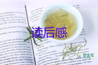 關(guān)于電影《地雷戰(zhàn)》觀后感范文通用五篇