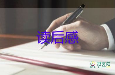 精選關(guān)于《追風(fēng)箏的人》讀后感參考范文4篇