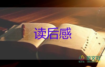 關(guān)于追風箏的人讀后感優(yōu)秀范文5篇