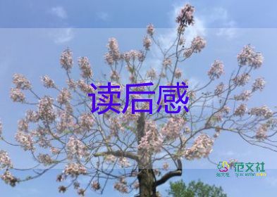 紅樓夢(mèng)經(jīng)典讀后感參考8篇