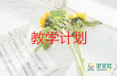 2024年信息技術(shù)教學(xué)計(jì)劃優(yōu)質(zhì)8篇