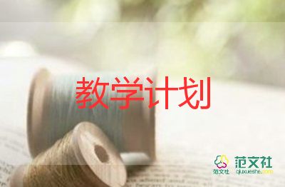 教師每學期教學總結5篇