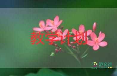 小學(xué)五年級(jí)橋的教學(xué)設(shè)計(jì)5篇