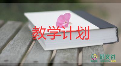 美術(shù)的教學(xué)設(shè)計教案5篇