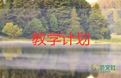 初中教學(xué)處工作總結(jié)5篇