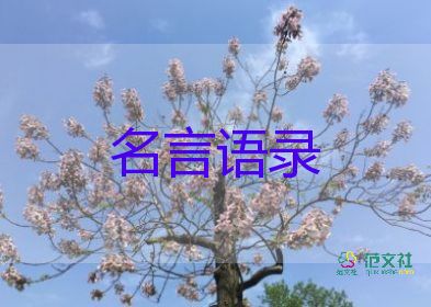 贊美教師句子范文最新7篇