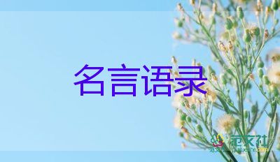 羽絨服漲價還斷貨斷碼緣由