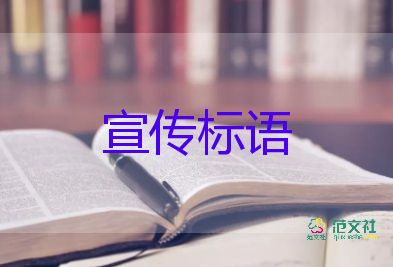 為什么幾年前審的教材現(xiàn)在出問題？插畫課程心得體會3篇