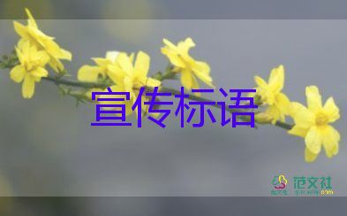 藏在細節(jié)里的6.18的冷清暗戰(zhàn)，消費的心得體會3篇