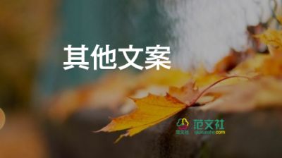 愛奇藝宣布更換新Logo，設(shè)計(jì)心得體會1篇