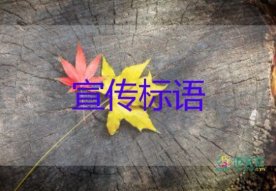 精選關(guān)于網(wǎng)絡安全宣傳標語最新40句