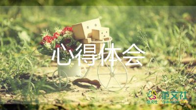 2022年社工心得體會(huì)8篇