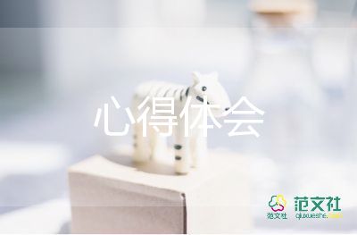 參加工作以來(lái)的心得體會(huì)7篇