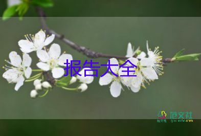 2024上半年述職報(bào)告范文8篇