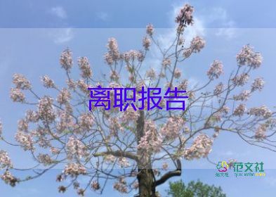 離職的申請書優(yōu)質(zhì)8篇