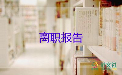 辭職報告財務(wù)部6篇