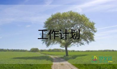 財務(wù)總監(jiān)的工作計劃3篇