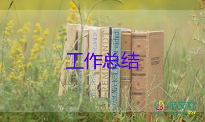 會(huì)計(jì)的工作總結(jié)及工作計(jì)劃8篇