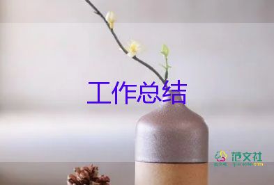 工作總結(jié)及下半年工作計(jì)劃優(yōu)秀5篇