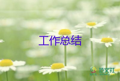 政治年工作總結(jié)參考7篇