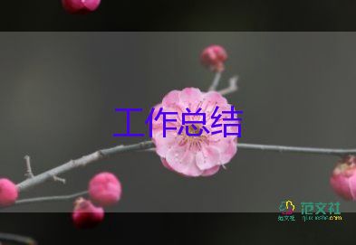 工作總結銷售個人范文優(yōu)秀8篇