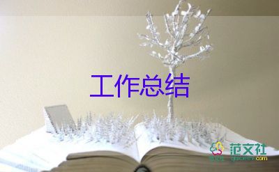 保險公司工作總結(jié)及2024年工作計劃6篇