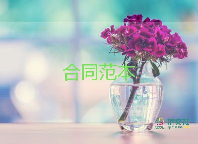 廣告權(quán)代理合同優(yōu)質(zhì)8篇