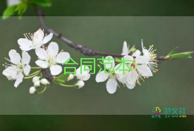 個人標(biāo)準(zhǔn)的租房合同5篇