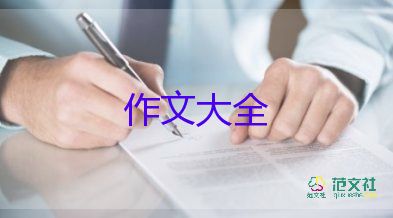 安全的作文400字精選5篇