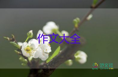 作文寫桂花樹400字通用6篇