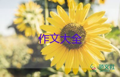 我的好伙伴作文優(yōu)質(zhì)5篇