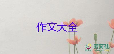 我是霧的作文參考5篇