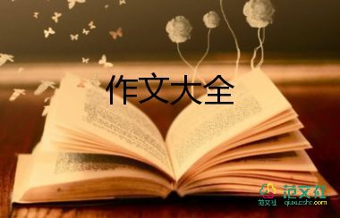 紀(jì)念日作文800字5篇