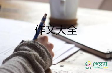 最信任的人作文800字5篇