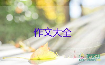 遠(yuǎn)方作文800字6篇